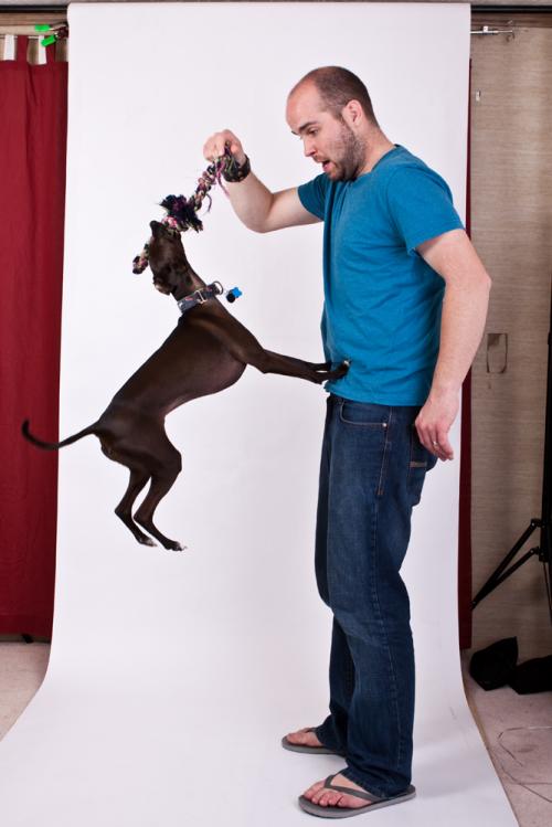 hornoxe.com_picdump151_009