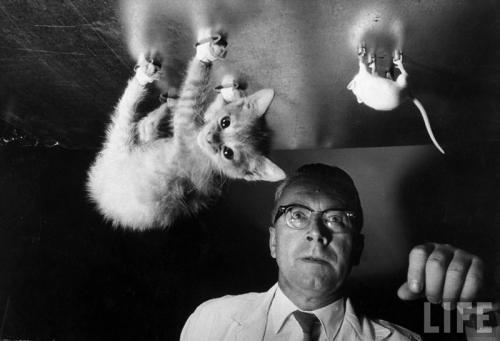 hornoxe.com_picdump151_034