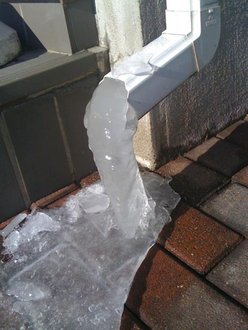 hornoxe.com_picdump151_058