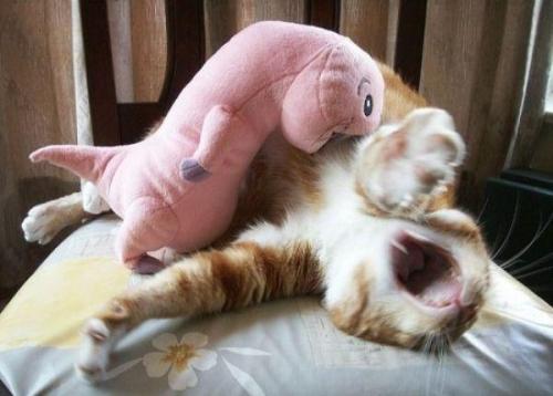 hornoxe.com_picdump151_087