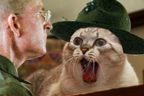 hornoxe.com_picdump151_088