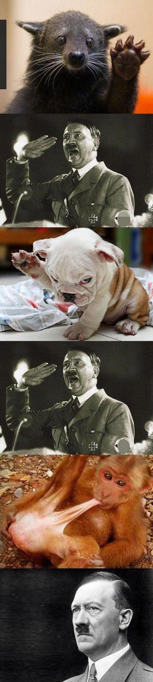 hornoxe.com_picdump151_092