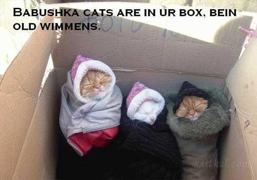 hornoxe.com_picdump151_099