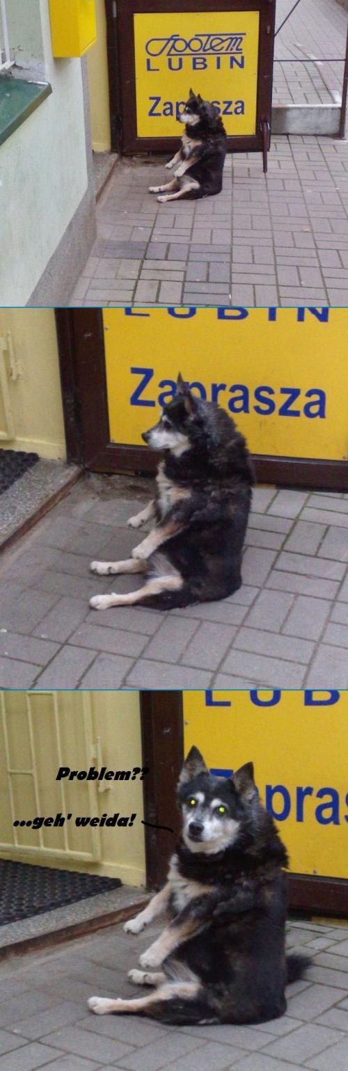 hornoxe.com_picdump151_112