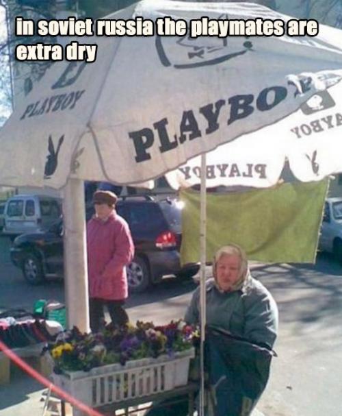 hornoxe.com_picdump151_120