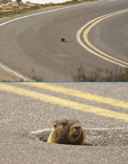 hornoxe.com_picdump151_124