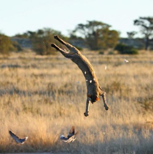 hornoxe.com_picdump151_162