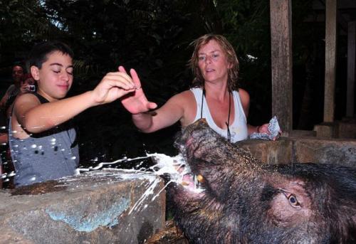 hornoxe.com_picdump153_016