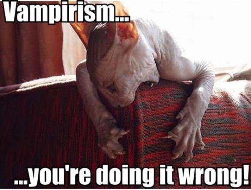 hornoxe.com_picdump153_033