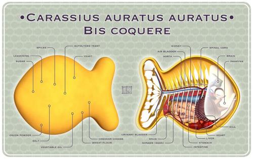 hornoxe.com_picdump153_043