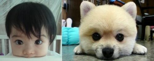 hornoxe.com_picdump153_046