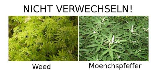 hornoxe.com_picdump153_048