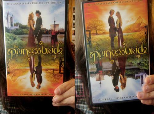 hornoxe.com_picdump153_050