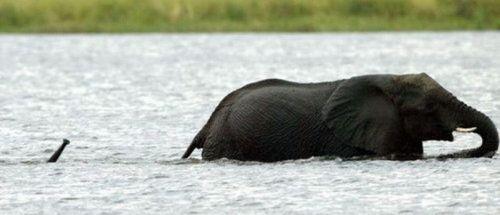 hornoxe.com_picdump153_123