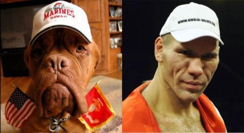 hornoxe.com_picdump153_138