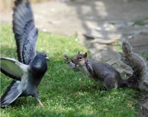 hornoxe.com_picdump157_76