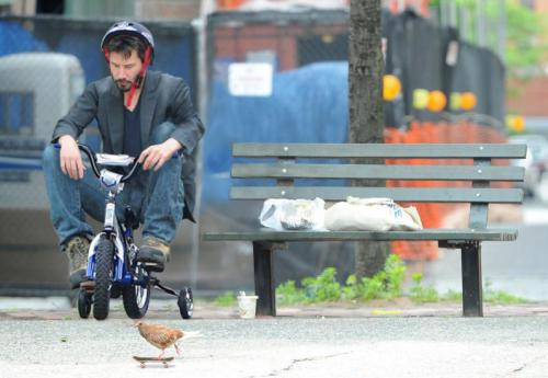 hornoxe.com_picdump159_039