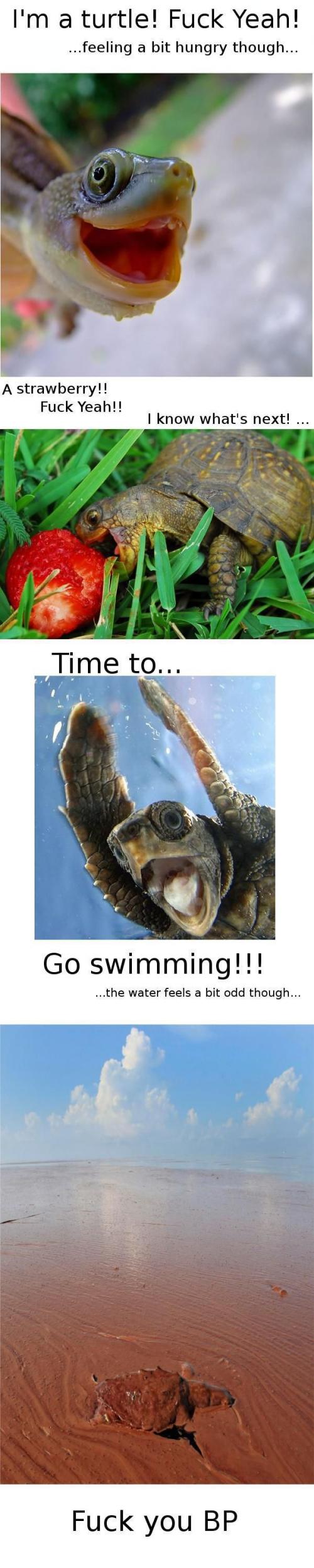 hornoxe.com_picdump159_086