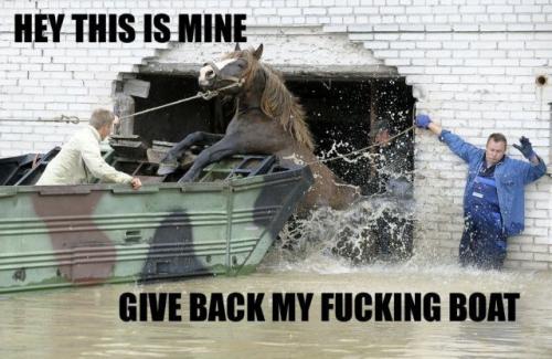 hornoxe.com_picdump159_096