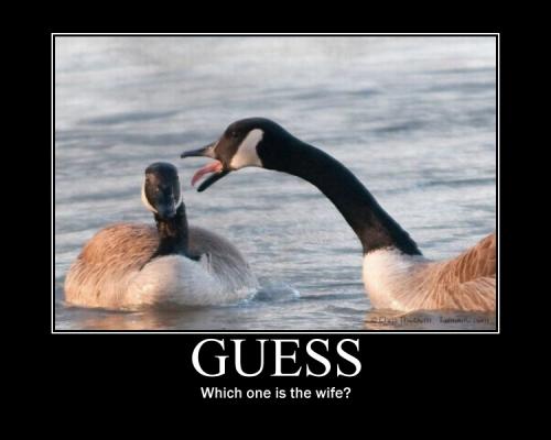 hornoxe.com_picdump159_110