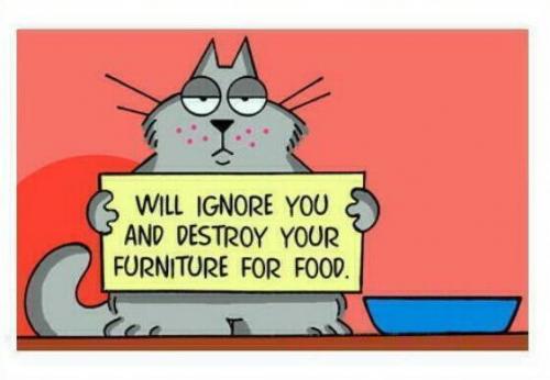 hornoxe.com_picdump160_011