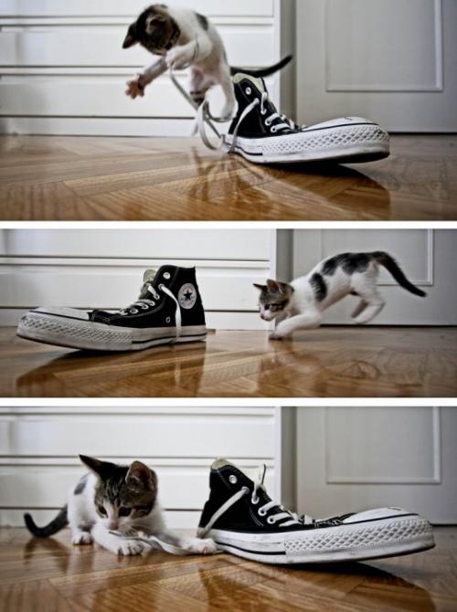 hornoxe.com_picdump160_019