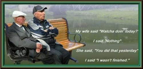 hornoxe.com_picdump160_105