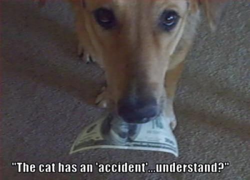 hornoxe.com_picdump160_119