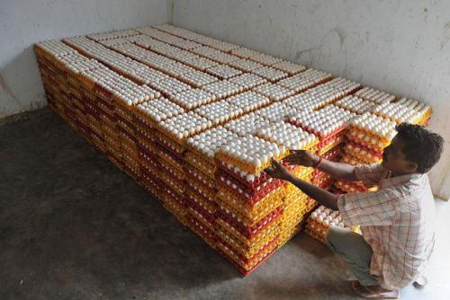 INDIA-ECONOMY-AGRICULTURE-POULTRY