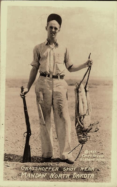 hornoxe.com_picdump161_007