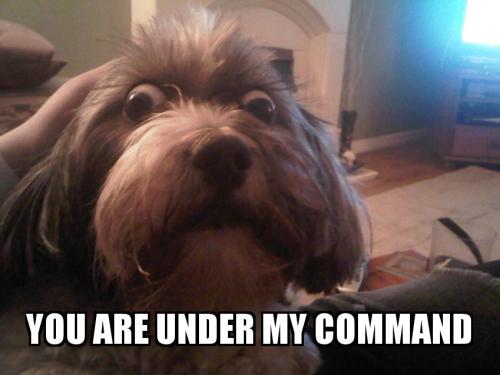 hornoxe.com_picdump161_017