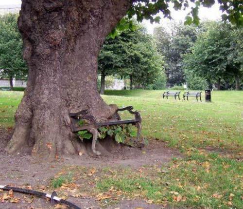 hornoxe.com_picdump161_044