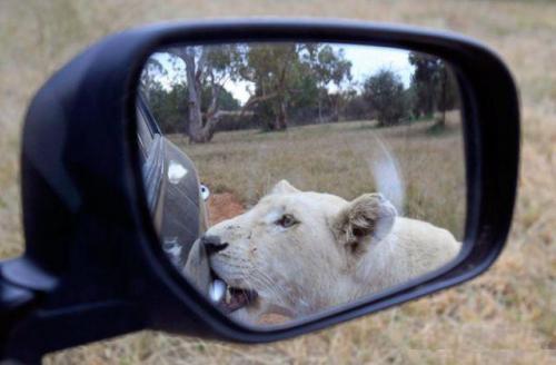 hornoxe.com_picdump161_053