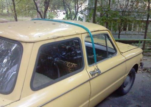 hornoxe.com_picdump161_074