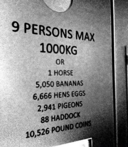 hornoxe.com_picdump161_086