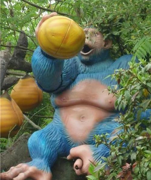 hornoxe.com_picdump162_036