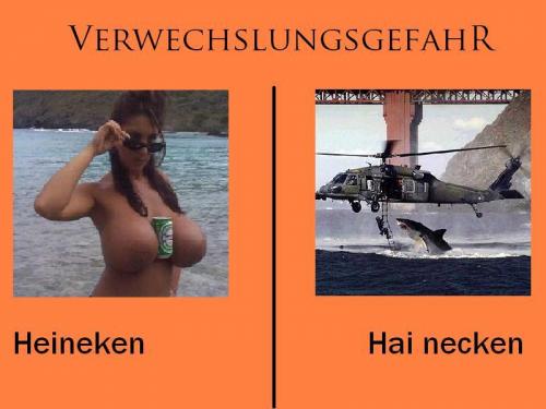 hornoxe.com_picdump162_046