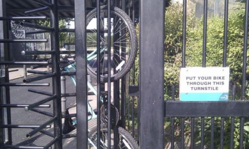 hornoxe.com_picdump162_098