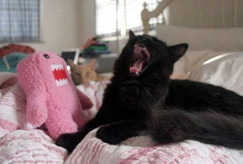 hornoxe.com_picdump163_006