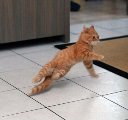 hornoxe.com_picdump163_042