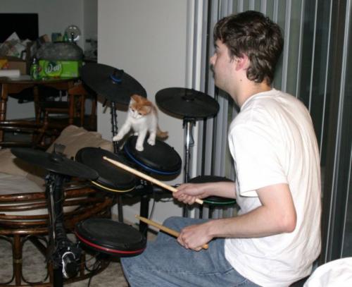 hornoxe.com_picdump163_103