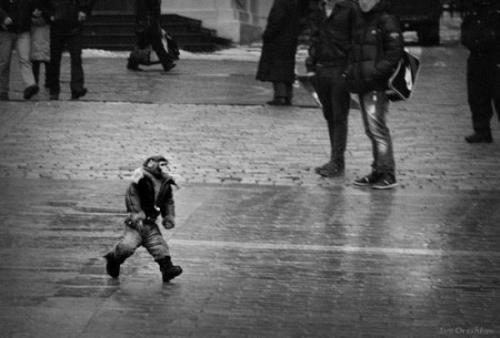 hornoxe.com_picdump163_109