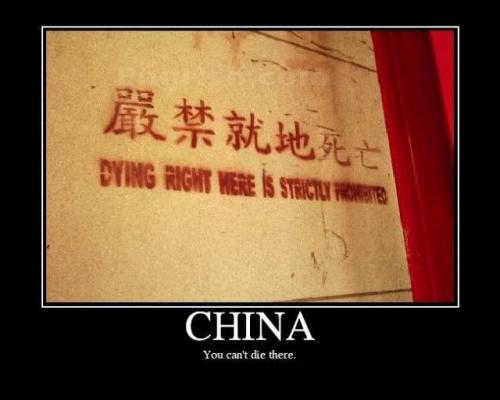 hornoxe.com_picdump163_110