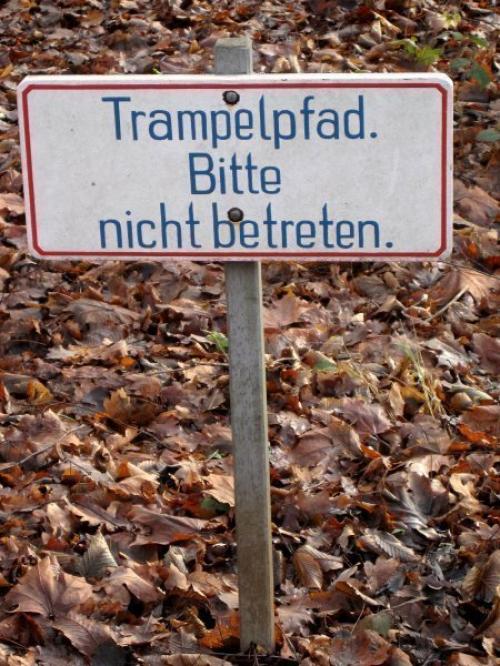 hornoxe.com_picdump164_001