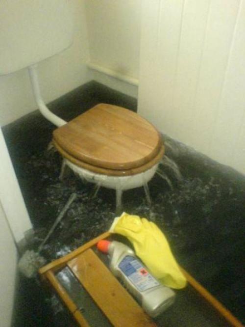 hornoxe.com_picdump164_004