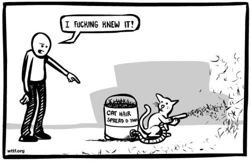 hornoxe.com_picdump164_047