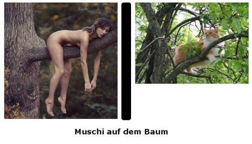 hornoxe.com_picdump164_054