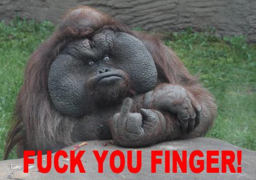 hornoxe.com_picdump164_077