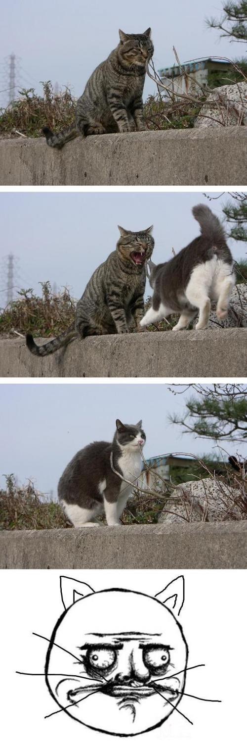 hornoxe.com_picdump164_090