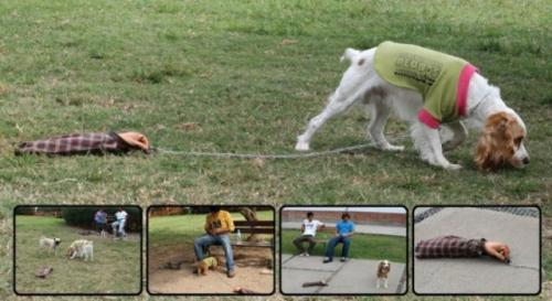 hornoxe.com_picdump165_64